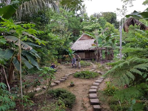 Omshanty Jungle Lodge - Housity