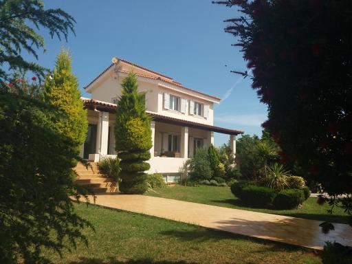 Beautiful Summer Villa in Chalkoutsi - Housity