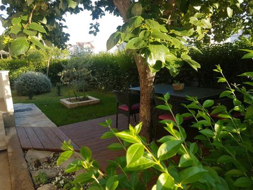 Apartment Žižula - Housity