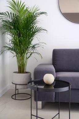 Apartments HUGO 2 - Housity