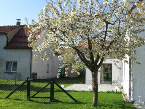 Pfeiffer´s Ferienwohnung - Housity