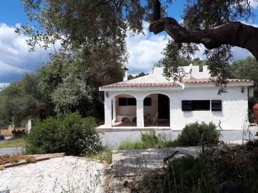 Lilly - Lovely small Villa among Olive Trees - Housity
