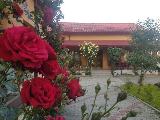 Mill House - Housity