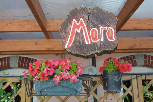 Appartamento Mara - Housity