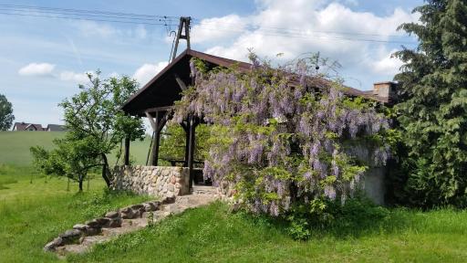 Agroturystyka Szafarnia 19 - Housity