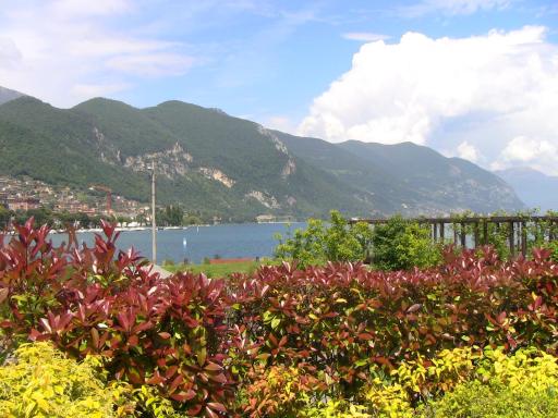 appartamento Luisa al lago d'Iseo - Housity