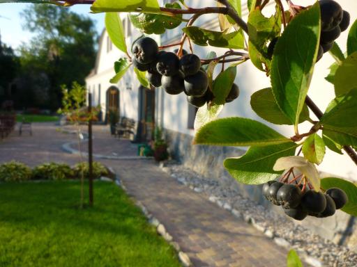 Aronia Park - Housity