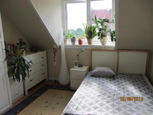 Cosy room in sydhavn - Housity