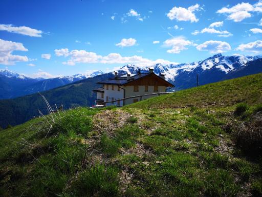 Restor Natura Malga Mondent - Housity