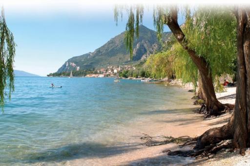 HOLIDAY APARTAMENTS - Housity