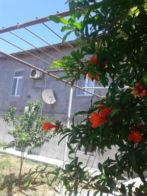 Guest house near Baku airport - Housity