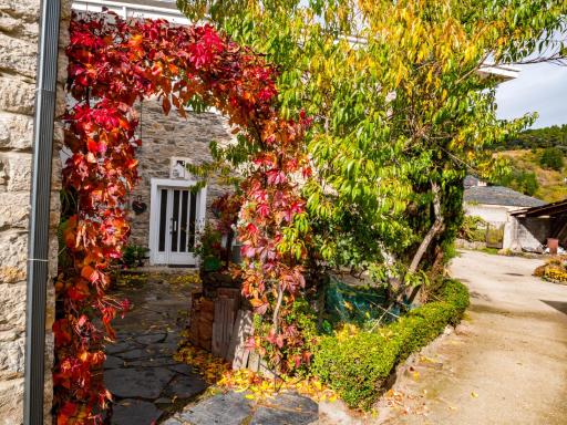Casa rural quiroga - Housity