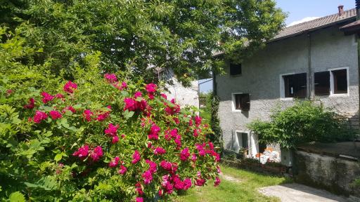 Casa Ronit - Housity