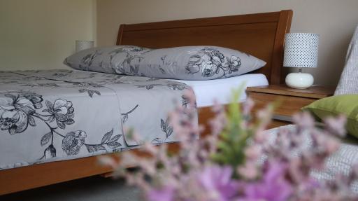 Adria Apartment - Housity
