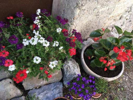 Il pastore errante Frasassi - Housity