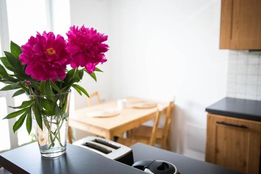 Apartment Poruba STREET VIEW - Housity