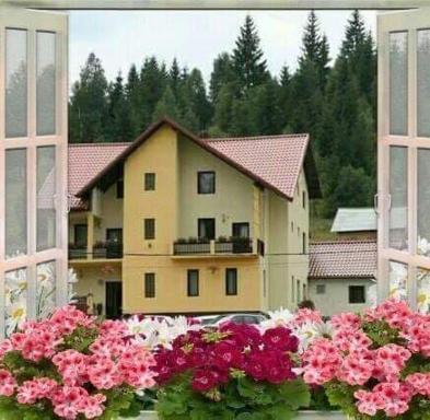 Flori de Bucovina - Housity