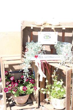 Ferienwohnung auf dem Bauernhof - Housity