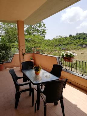 GIARDINO DI PRIMAVERA - Housity