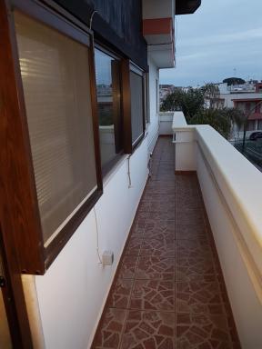 Zappy house - Housity