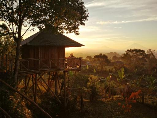 Bali Tree House Pelangi - Housity