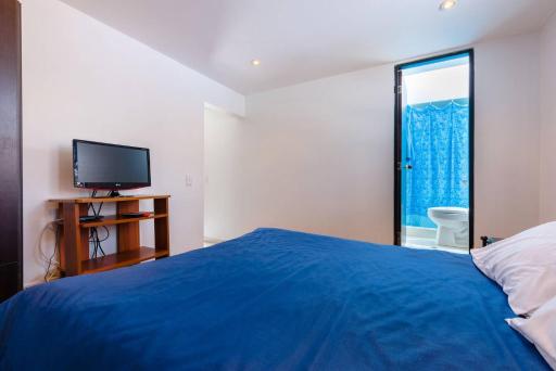LOFT APARTMENT IN CENTRAL LOCATION (301) - Hizvo