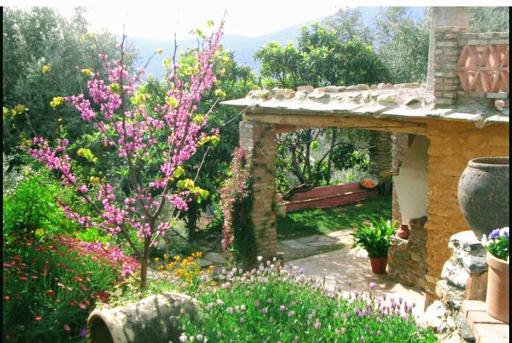 Mountain house surrounded by nature - Housity