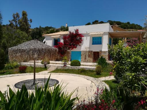 Lemon Tree Cottage - Housity