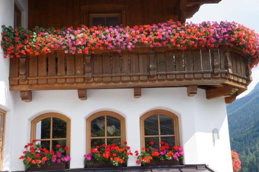 Pension Strolz - Housity
