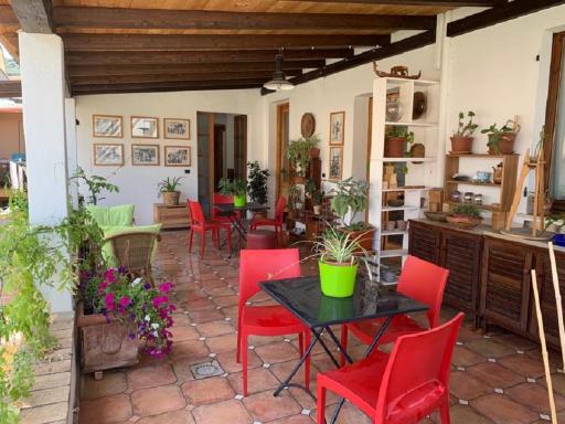 Arega B&B - Hizvo