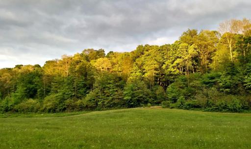 Altenbrauch Farm - Camping in the Hocking Hills - Housity