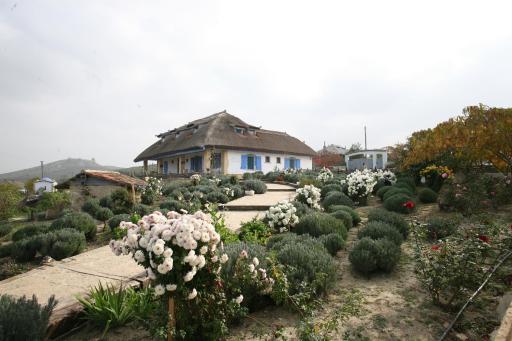 Safari Danube Delta - Housity