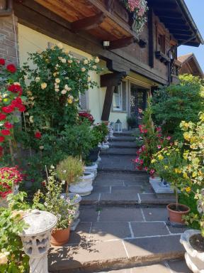 Appartment Graukogel Blick - Housity