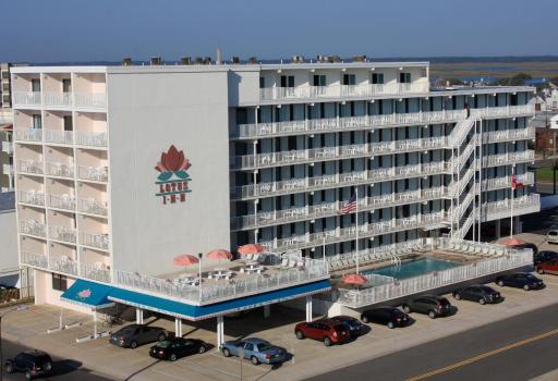 Lotus Inn - Housity