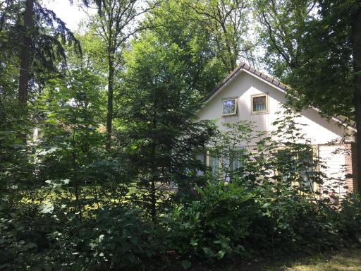 Beautiful house in the forest - Housity