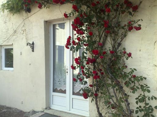 Petit Cerisier - Housity