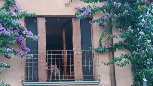 Holiday House Camillina - Housity