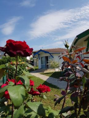 Villa Veneta - Housity