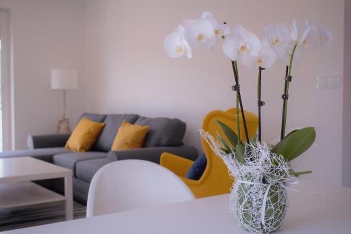 Morska Per?a - Housity