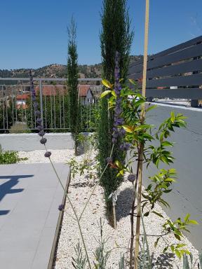 Evmelia Kakopetria Suites - Housity