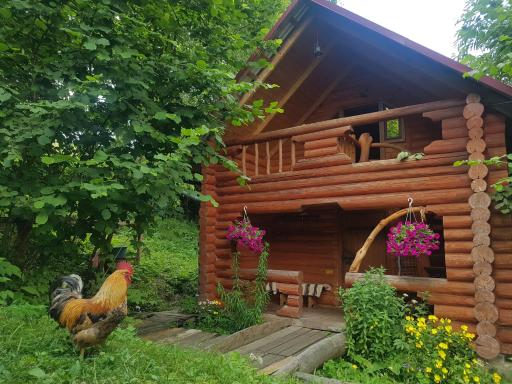 У Медовому Раю - Housity
