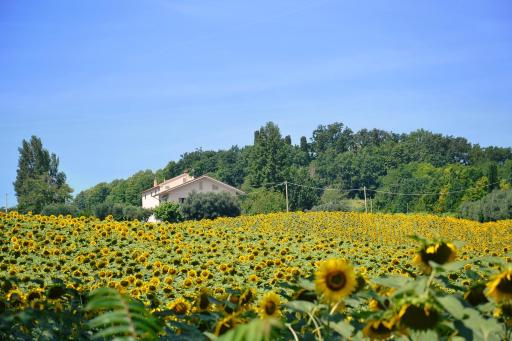 LE PIUME B&B - Housity