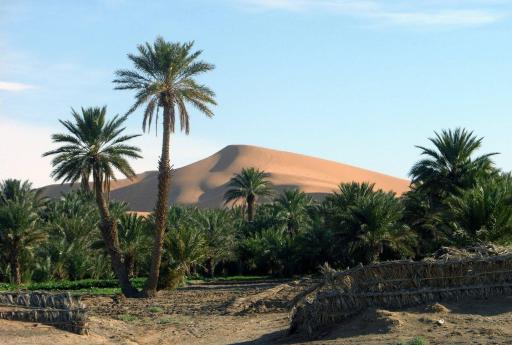 Hotel Riad Oasis - Housity
