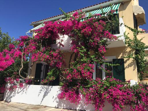 Casa Buganvilla - Housity
