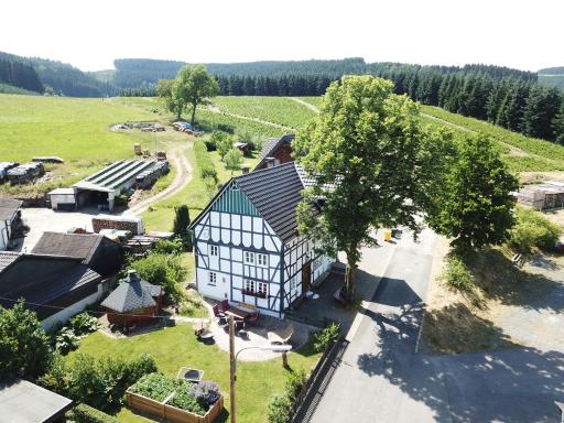 Ortmanns Eulennest - Housity