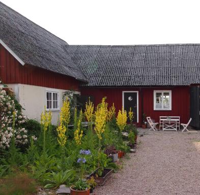 Augustas Bed & Breakfast - Housity