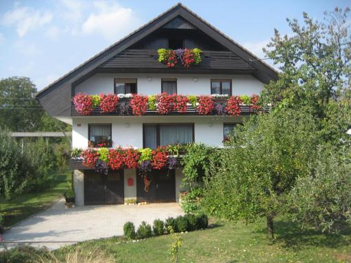 Apartma Unica - Housity