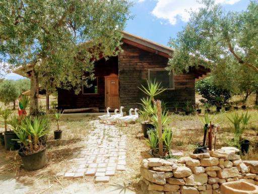 Villa Rossi - Housity