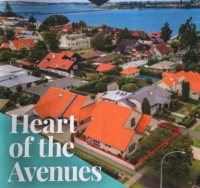 TAURANGA CITY CBD 5TH AVE Elegant Entire Home - Housity