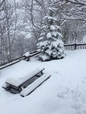 En pleine nature avec jardin - Housity